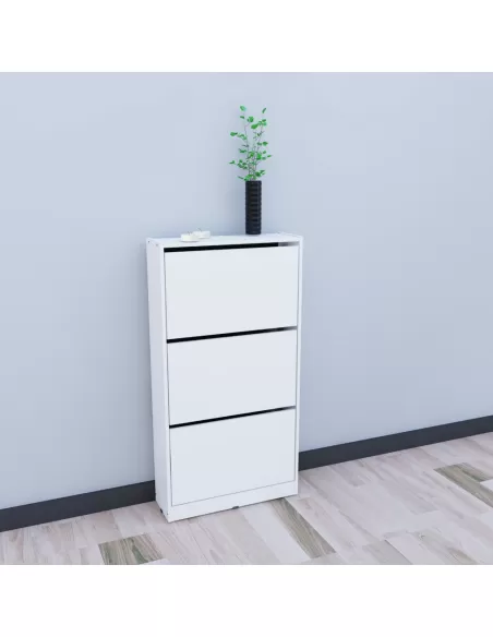 Organizador de Calzado