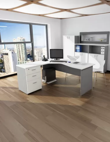 Amoblamiento Millenium