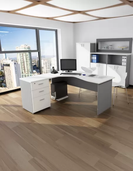 Amoblamiento Millenium