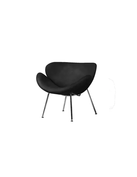 Sillon Paulin