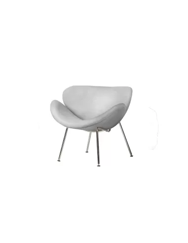 Sillon Paulin