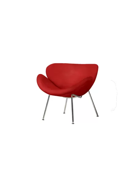 Sillon Paulin