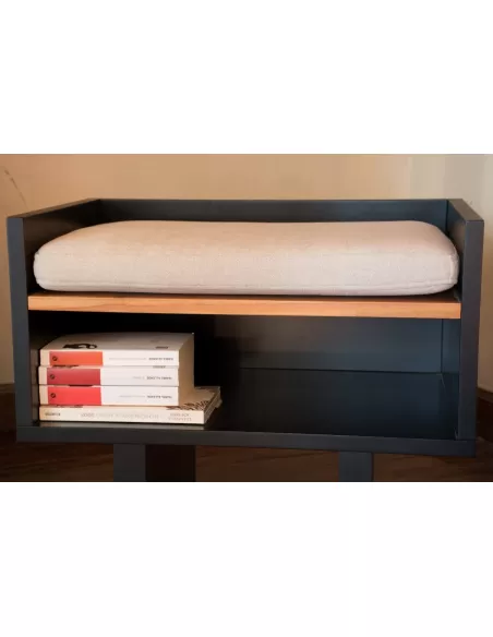 Asiento + guardado de libros