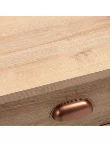 Rack para LCD con puerta