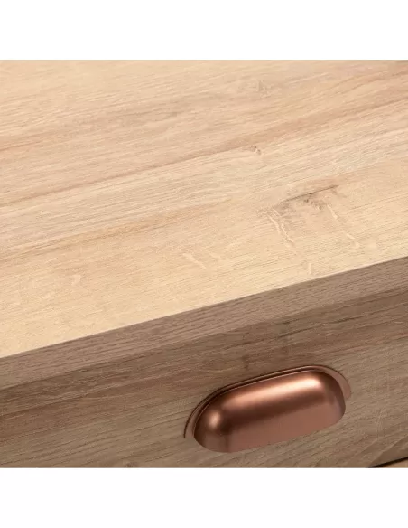 Rack para LCD con puerta