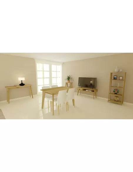 Rack para LCD con puerta