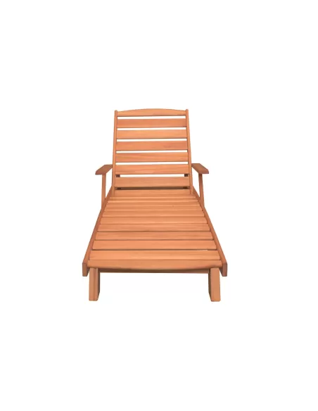 REPOSERA con apoya brazos