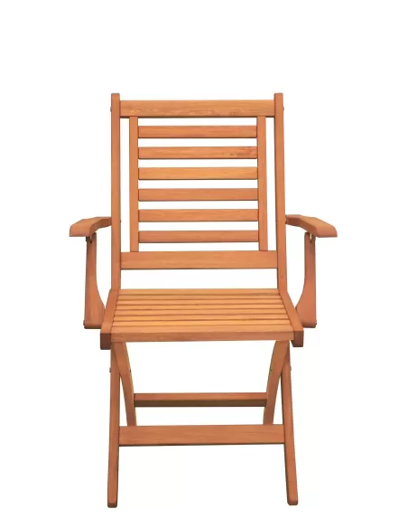 SILLA PLEGABLE con apoya brazos