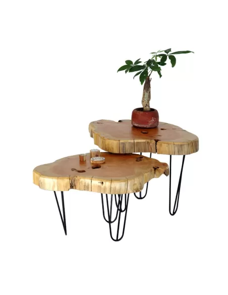 MESA AUXILIAR PATA DE METAL SET X 2