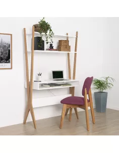 Escritorio Modo de uso 1