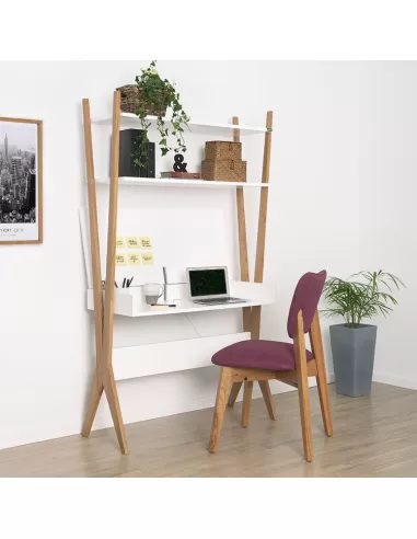 Escritorio Modo de uso 2