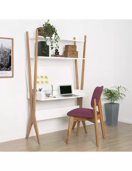 Escritorio Modo de uso 2