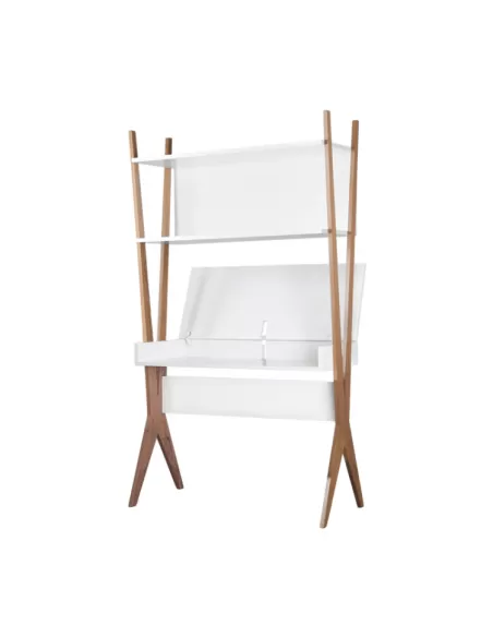 Módulo Escritorio / Biblioteca