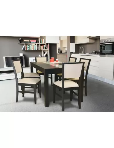 Mesa con vidrios wengue, combinada con silla tauro 204