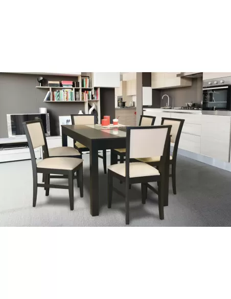 Mesa con vidrios wengue, combinada con silla tauro 204