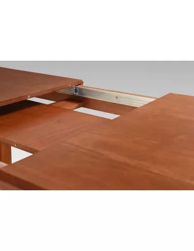 Mesa trampa, guia metalica bidireccional